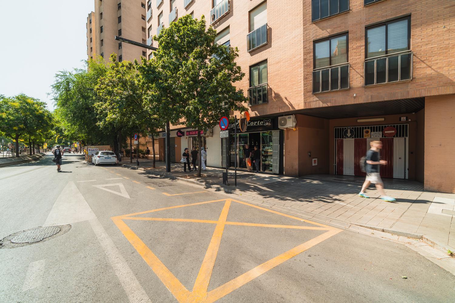 Constitucion Apartment - Free Parking 格拉纳达 外观 照片
